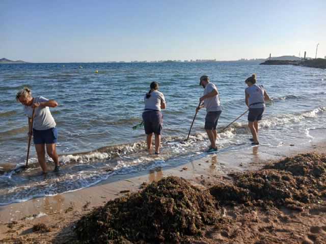 La Comunidad retira más de 4.200 toneladas de biomasa del litoral del Mar Menor desde enero - 1, Foto 1