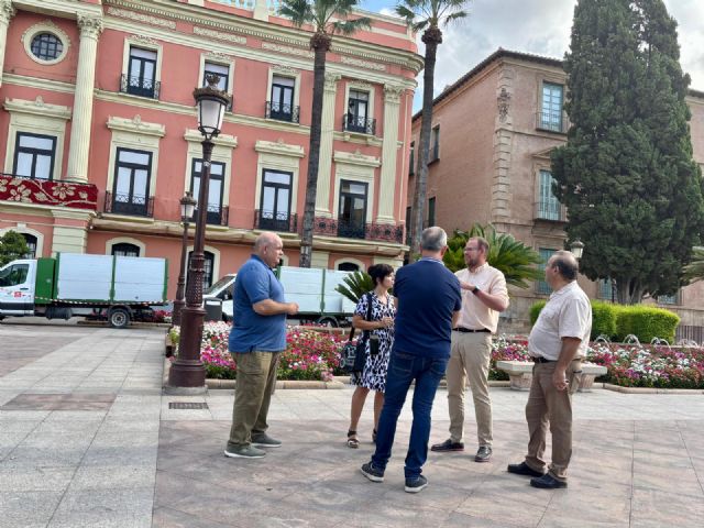 Las más de 18.000 palmeras del municipio reciben labores de revisión y poda - 1, Foto 1