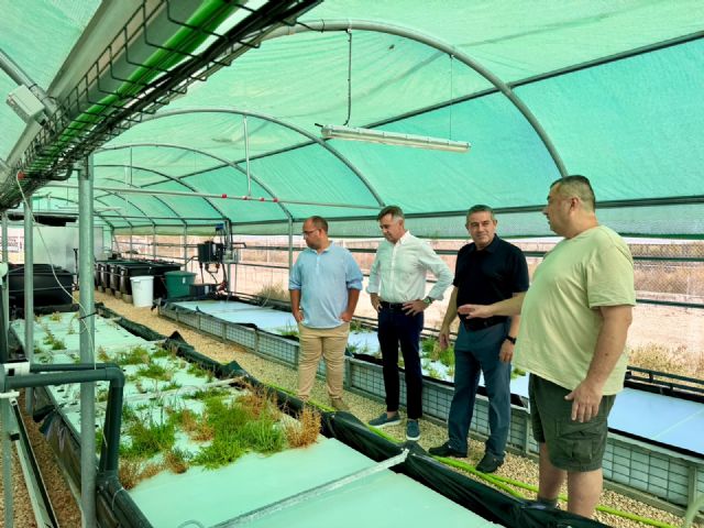 La Regi�n de Murcia estudia biofiltros para recuperar nitr�geno y f�sforo de la acuicultura y reducir su impacto ambiental