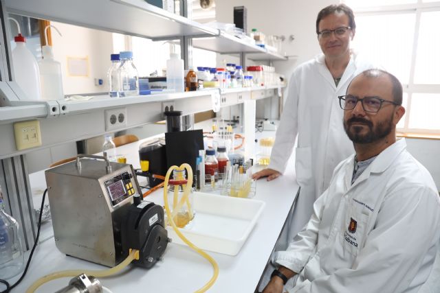Diseñan un consorcio microbiano para la producción de nanocelulosa a partir de subproductos de naranja - 2, Foto 2