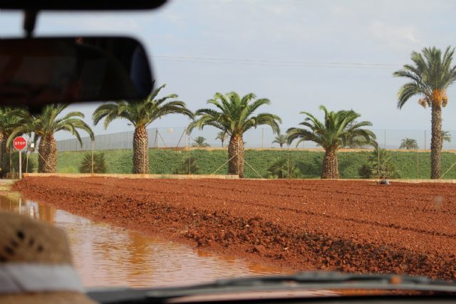 Cs advierte que el pésimo mantenimiento de las cunetas provoca la inundación en algunos tramos de carretera - 1, Foto 1