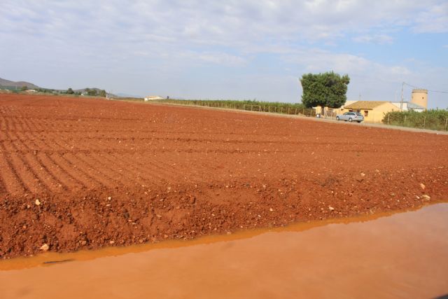 Cs advierte que el pésimo mantenimiento de las cunetas provoca la inundación en algunos tramos de carretera - 2, Foto 2