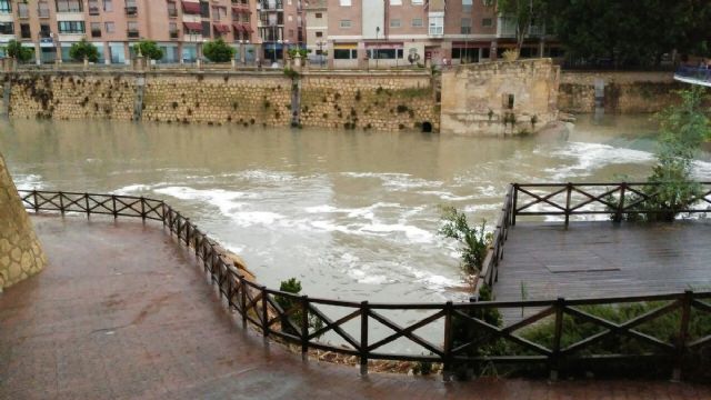 La CHS confirma a Huermur que las aguas del Río Segura a su paso por Murcia no son aptas para el baño - 2, Foto 2
