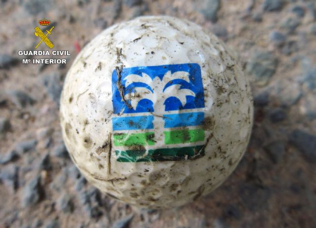 La Guardia Civil detiene a cuatro personas por la sustracción de un millar de pelotas de golf - 4, Foto 4