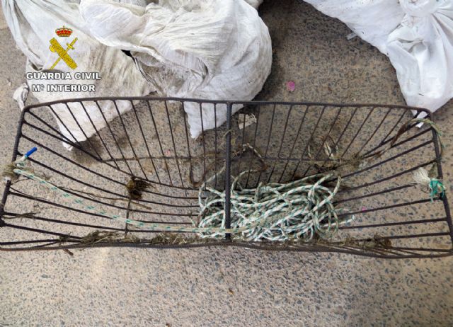 La Guardia Civil detiene a cuatro personas por la sustracción de un millar de pelotas de golf - 5, Foto 5