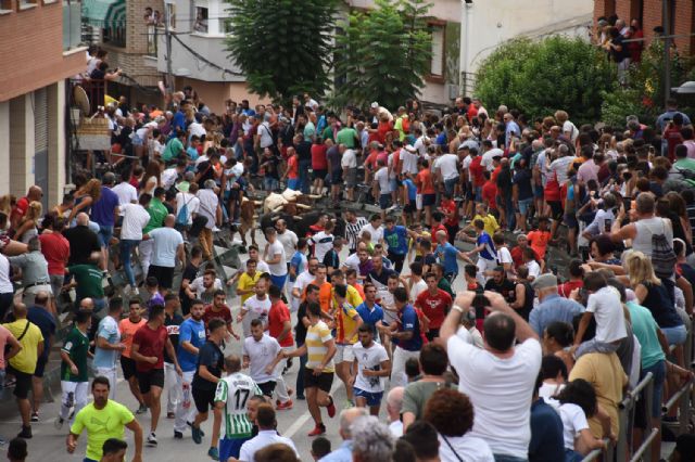 Segundo encierro de Calasparra con novillos de Valdellán - 4, Foto 4