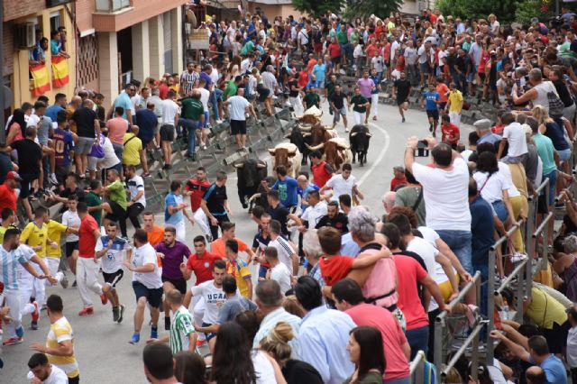 Segundo encierro de Calasparra con novillos de Valdellán - 5, Foto 5
