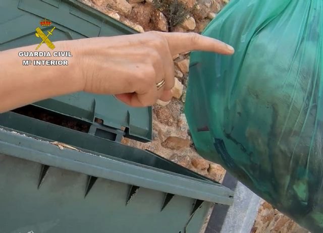 La Guardia Civil investiga a un vecino de Alhama de Murcia por la muerte violenta de un gato, Foto 1