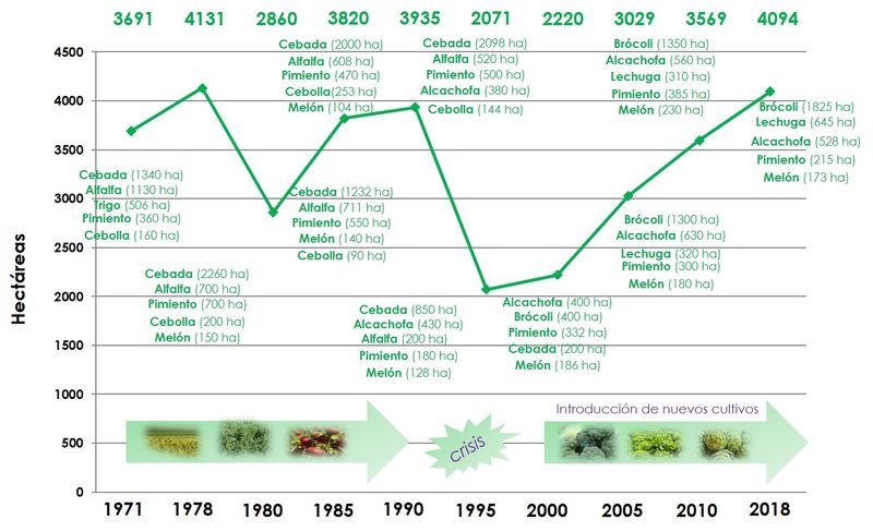 Figura 1. Evolución de la superficie de cultivos anuales en regadío en Totana en los últimos 50 años. Fuente: Elaboración propia a partir de los datos de la Consejería de Agricultura de Murcia., Foto 2