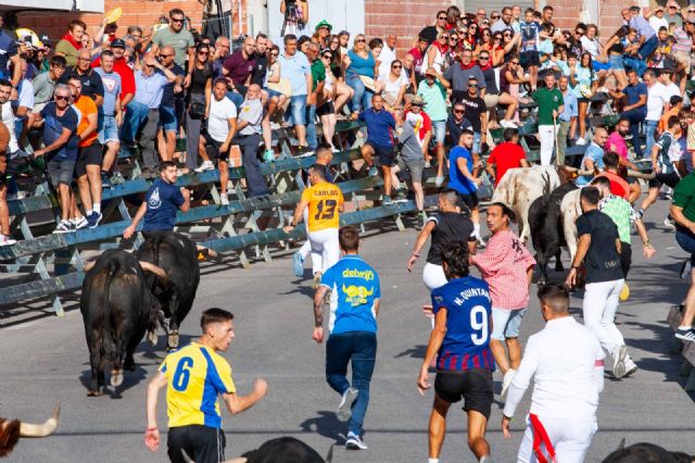Los novillos de Juan Luis Fraile protagonizan un encierro rápido y limpio - 1, Foto 1