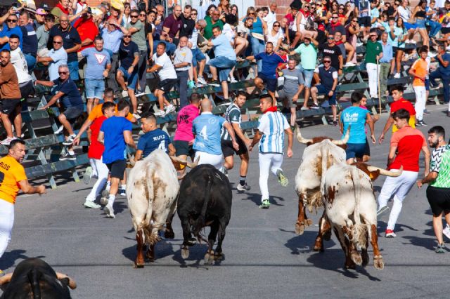 Los novillos de Juan Luis Fraile protagonizan un encierro rápido y limpio - 2, Foto 2