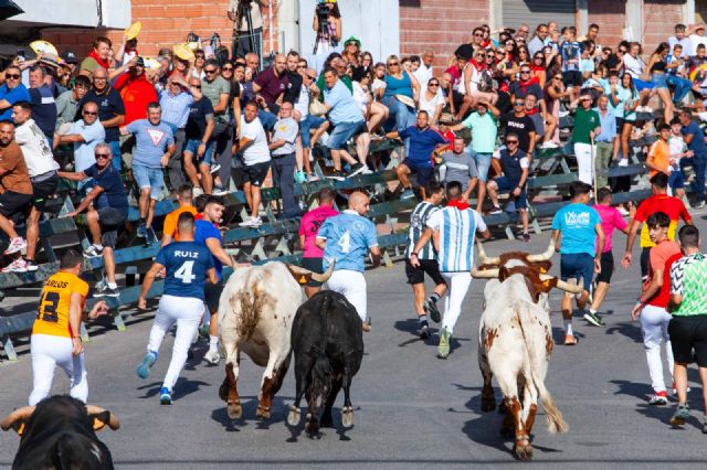 Los novillos de Juan Luis Fraile protagonizan un encierro rápido y limpio - 3, Foto 3