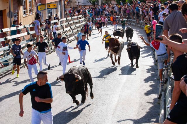 Los novillos de Juan Luis Fraile protagonizan un encierro rápido y limpio - 4, Foto 4