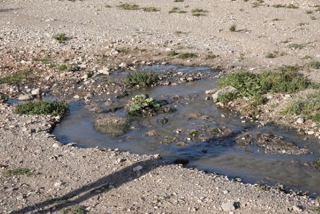 13 años arrojando aguas fecales sin depurar al río Vélez y al Pantano de Puentes cuyas aguas después se utilizan para regar y para la ganadería - 1, Foto 1
