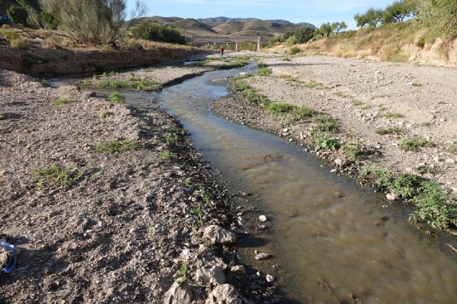 13 años arrojando aguas fecales sin depurar al río Vélez y al Pantano de Puentes cuyas aguas después se utilizan para regar y para la ganadería - 2, Foto 2