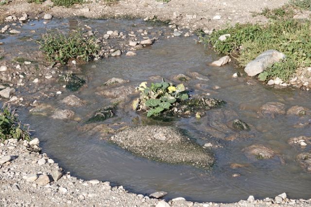 13 años arrojando aguas fecales sin depurar al río Vélez y al Pantano de Puentes cuyas aguas después se utilizan para regar y para la ganadería - 3, Foto 3