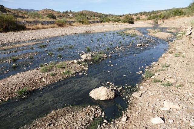 13 años arrojando aguas fecales sin depurar al río Vélez y al Pantano de Puentes cuyas aguas después se utilizan para regar y para la ganadería - 5, Foto 5