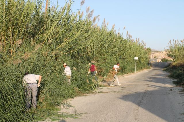 El Ayuntamiento contrata temporalmente a 27 desempleados para paliar los meses de baja laboralidad en el sector agrícola - 1, Foto 1