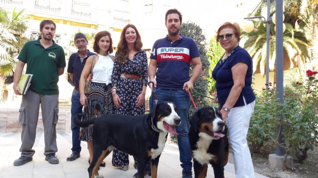 La Concejalía de Sanidad recuerda la obligatoriedad del chipado de mascotas, que permite identificar y recuperar al animal en caso de extravío - 1, Foto 1