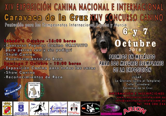 La XIV Exposición y el XXIV Concurso Canino de Caravaca se celebran este sábado y domingo en La Corredera - 1, Foto 1