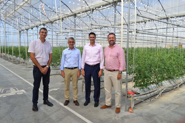 Cajamar y Signify firman un acuerdo para investigar el crecimiento de cultivos agrícolas con iluminación artificial - 3, Foto 3