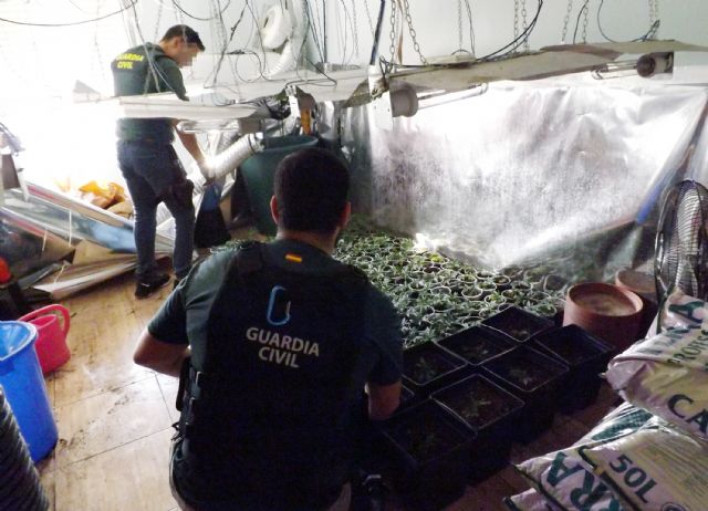La Guardia Civil detiene a un peligroso delincuente por tenencia ilícita de armas y munición y desmantela una plantación de marihuana en su domicilio - 1, Foto 1