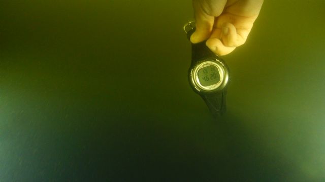 El Mar Menor, de nuevo en grave estado - 1, Foto 1