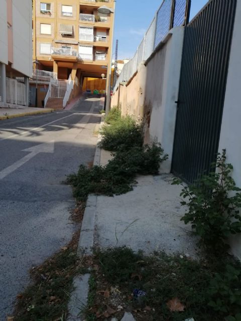 La Concejalía de Parques y Jardines refuerza las labores para el mantenimiento de las diferentes zonas verdes del municipio - 2, Foto 2