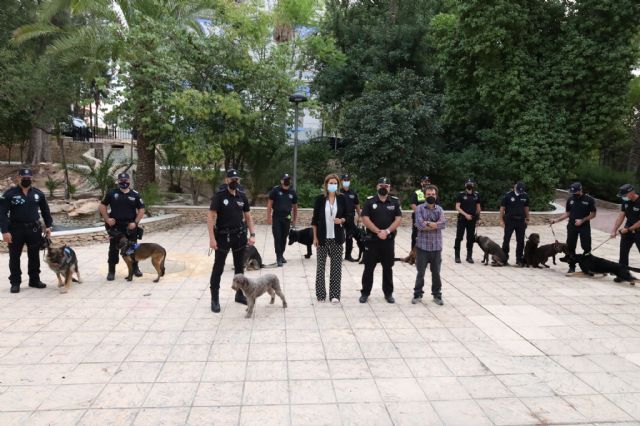 Archena acoge durante tres días un seminario interregional para el perfeccionamiento de perros policía - 3, Foto 3