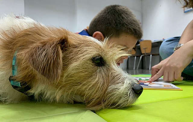 Las intervenciones asistidas con animales y su efecto directo en el bienestar de las personas - 1, Foto 1