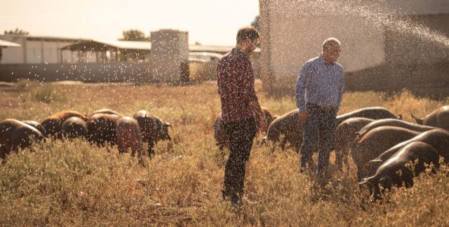 La Interprofesional del Ibrico califica de Excelente el cumplimiento de las buenas prcticas de bienestar animal en Cefusa, Foto 1
