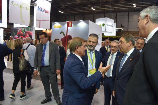 Proexport pide al ministro de Agricultura que se implique con el Trasvase Tajo-Segura - 2, Foto 2