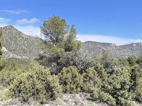 Medio Ambiente inicia este otoño trabajos de mejora de los hábitats forestales y refuerzo de las especies protegidas en Moratalla - 1, Foto 1