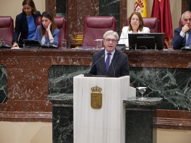 El PP acusa a Sánchez de enviar por la puerta de atrás a la Región de Murcia a 340 menores migrantes como adultos y exige que se determine la edad antes del traslado - 1, Foto 1