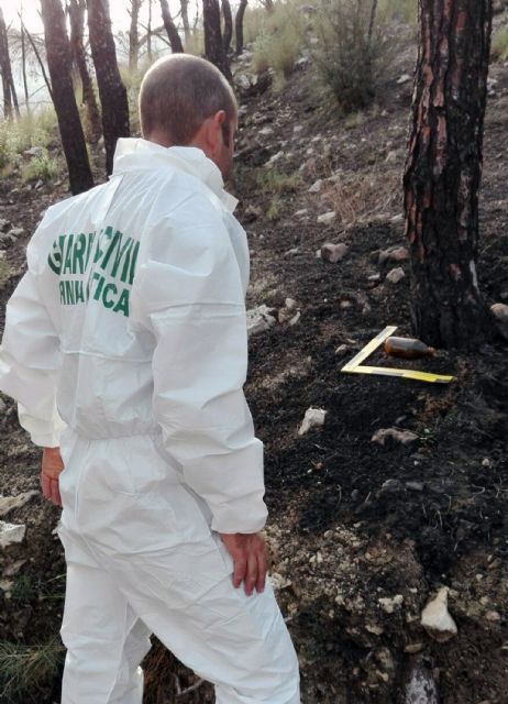 La Guardia Civil esclarece siete incendios forestales atribuidos a cinco menores de edad - 1, Foto 1