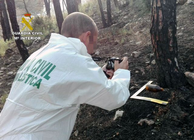 La Guardia Civil esclarece siete incendios forestales atribuidos a cinco menores de edad - 3, Foto 3