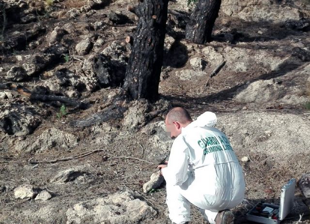 La Guardia Civil esclarece siete incendios forestales atribuidos a cinco menores de edad - 4, Foto 4