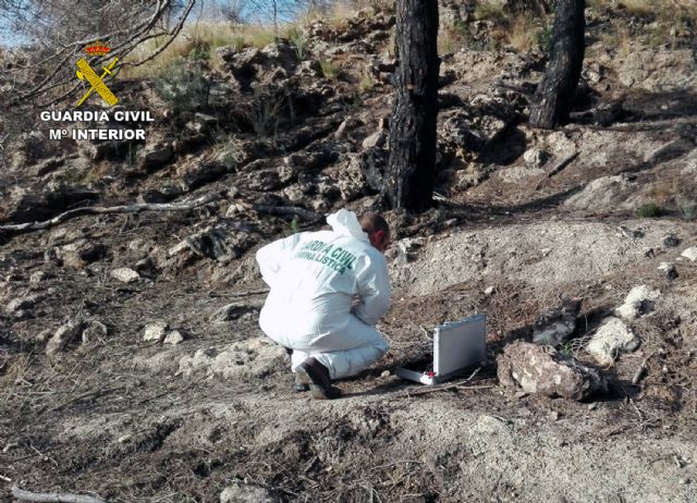 La Guardia Civil esclarece siete incendios forestales atribuidos a cinco menores de edad - 5, Foto 5