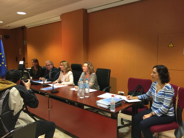 El Plan Municipal de Accesibilidad Universal establecerá prioridades, plazos y presupuesto para ser realista y ejecutable - 2, Foto 2