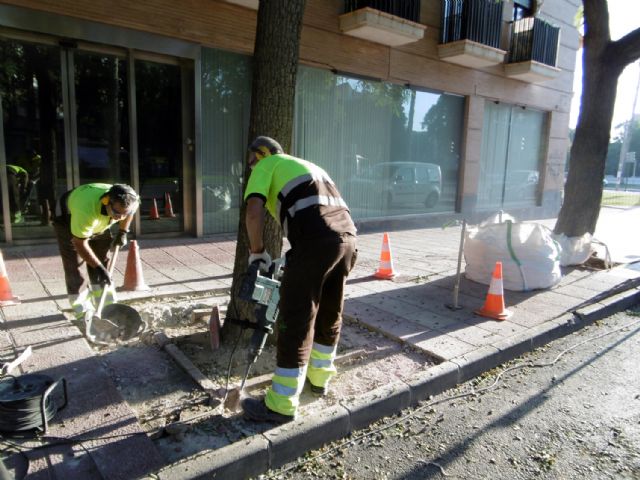 El Ayuntamiento reforma más de una treintena de alcorques de la Avenida de los Pinos - 1, Foto 1