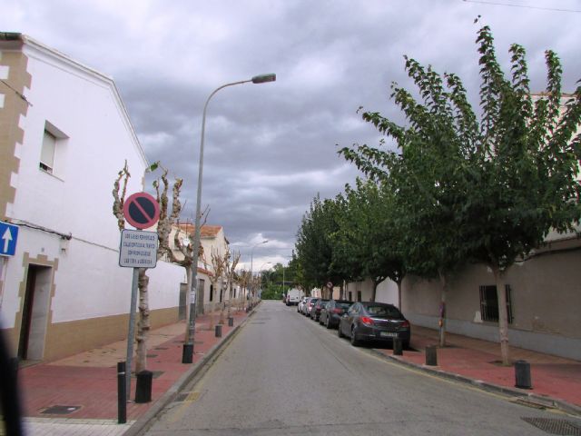Ahora Murcia demanda transparencia y criterios ecológicos en la realización de podas y reposición del aborlado urbano - 1, Foto 1