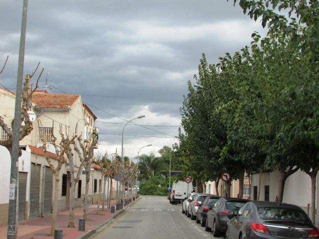 Ahora Murcia demanda transparencia y criterios ecológicos en la realización de podas y reposición del aborlado urbano - 2, Foto 2