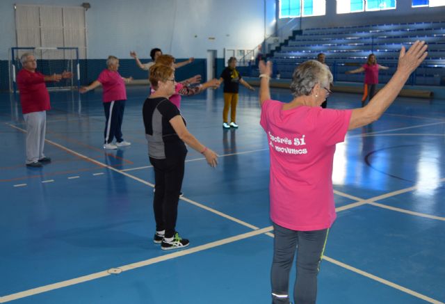 Las clases municipales gratuitas de gerontogimnasia ofrecen hasta 12 grupos distintos - 4, Foto 4