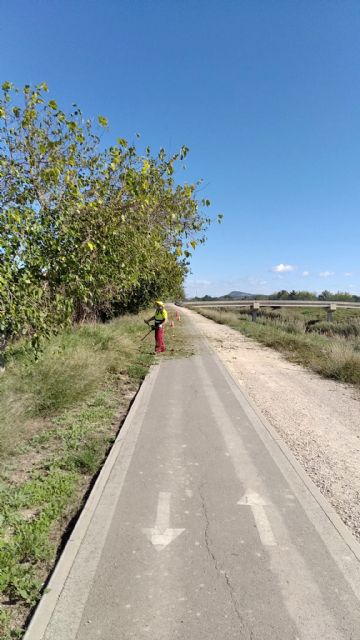 El Ayuntamiento desarrolla labores de poda y desbroce en el tramo del carril bici desde El Raal a Llano de Brujas - 3, Foto 3