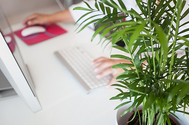 Claves para dominar el teletrabajo y hacer que tu equipo sea más productivo - 1, Foto 1