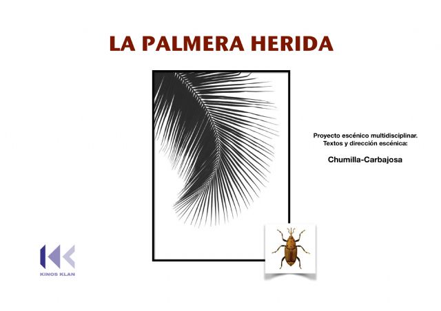 El cineasta Chumilla Carbajosa explica en el Teatro Romea el proceso creativo de su proyecto 'La palmera herida' - 1, Foto 1