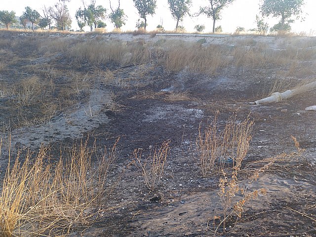 IU-verdes destaca la incoherencia del ayuntamiento con el tema de limpieza de solares - 2, Foto 2