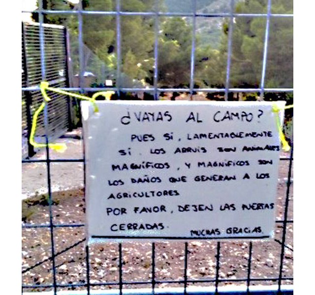 They denounce the usurpation of a livestock route in Purgatorio (Sierra Espua), Foto 2