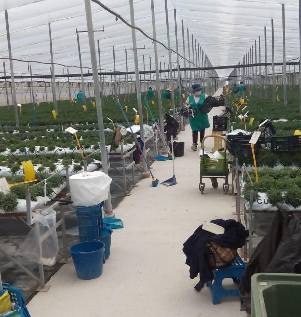 El número de desempleados en Puerto Lumbreras desciende en octubre por cuarto mes consecutivo, y deja la tasa de paro en el 9 por ciento, la más baja desde 2008 - 1, Foto 1