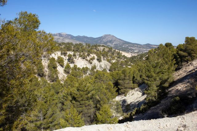La 'Capa Negra' de Caravaca consigue ser el cuarto lugar de la Región de Murcia declarado Monumento Natural - 1, Foto 1